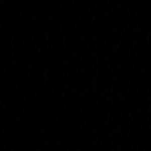 Meet your Posher, Kamesha